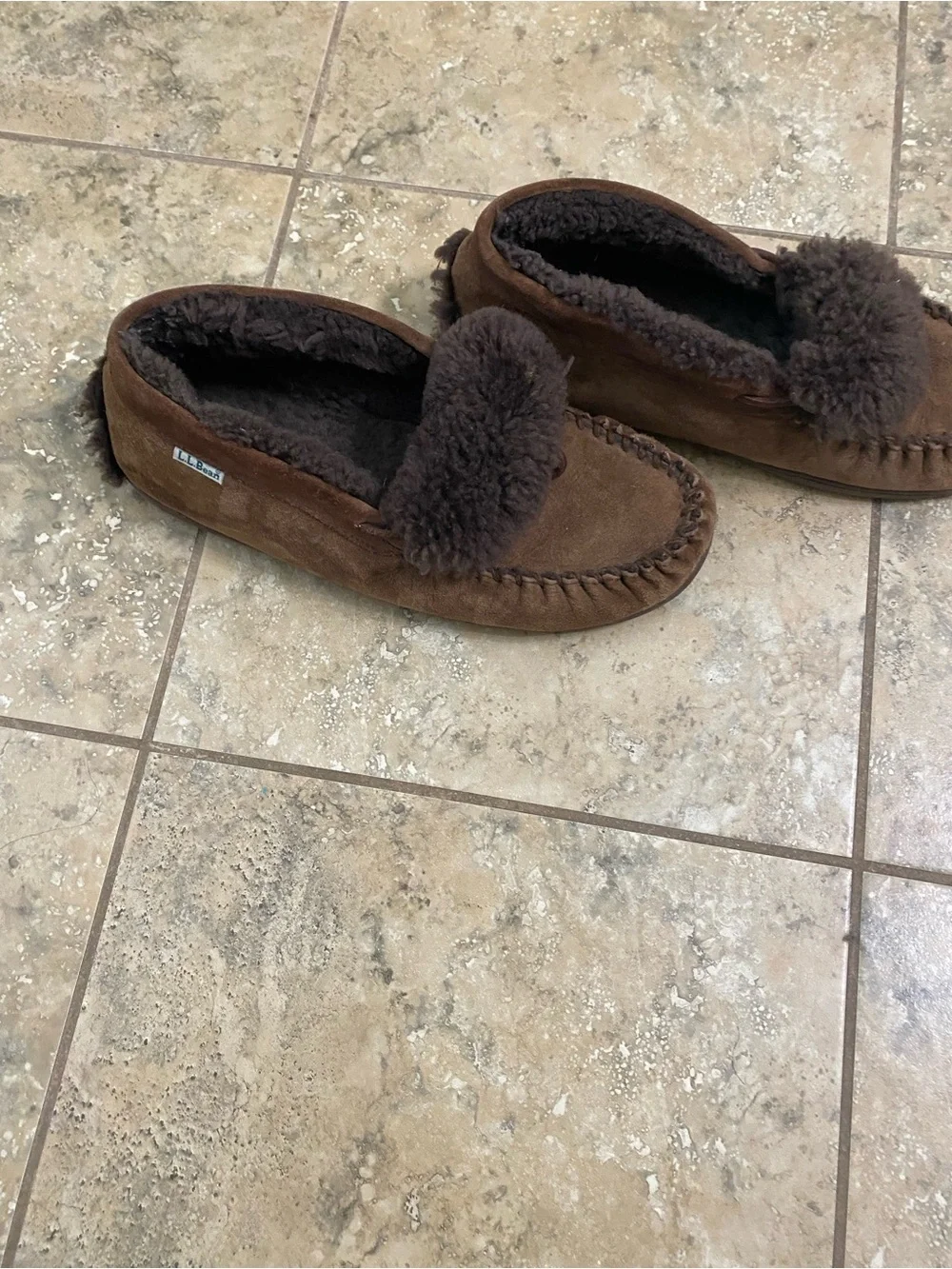 L.L. Bean bean wicked